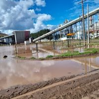 Arauco suspende indefinidamente operaciones de planta de celulosa en Licantén