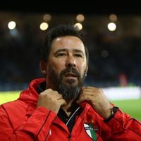 “No se vuelve loco viendo 10 partidos por día”: el particular método de Vitamina Sánchez que agiganta a Palestino en la Copa Libertadores