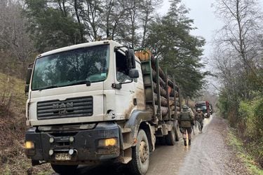 Cinco detenidos deja operativo por robo de madera en predio de La Araucanía