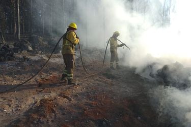 Declaran alerta roja para las comunas de Corral y Valdivia por incendio forestal que presenta una “amenaza inminente a viviendas”