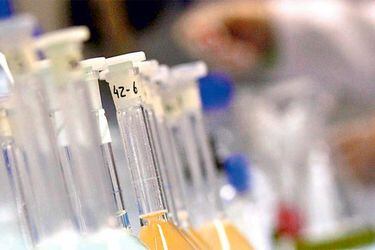 Científicos en la Fundación Ecoscience