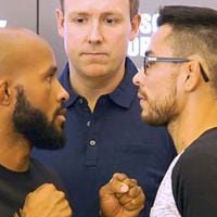 UFC: Demetrious Johnson y Ray Borg ya tienen fecha para su combate