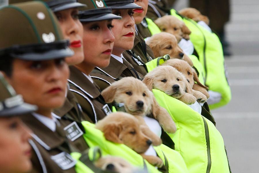 Parada Militar 2018