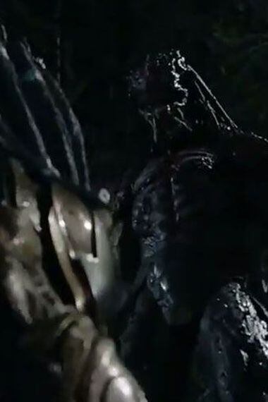 predator