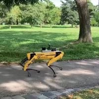 ¿Black Mirror? En Singapur usan “perros robots” para reforzar el distanciamiento social