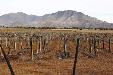 El 91% de los chilenos ha notado los efectos del cambio climático en su región