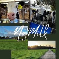NotMilk vs. NatMilk: el conflicto marcario de NotCo con un agricultor lechero de Renaico