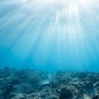 Anuncian alianza mundial para posicionar a las áreas marinas protegidas como herramientas clave para enfrentar la crisis climática