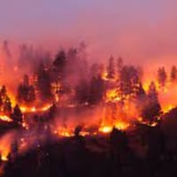 Más de la mitad de áreas quemadas por incendios forestales en última temporada fue por eventos intencionales