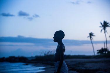 Luz de Luna: de un duro barrio de Miami al Oscar de California