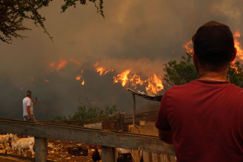 8 medidas que tomó barrio Botania para sobrevivir incendios - La Tercera