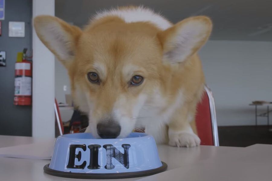 ein