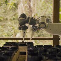 Este robot plantador de semillas busca ayudar a reforestar la Amazonía