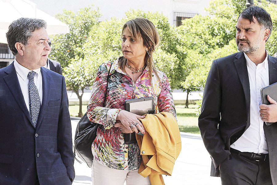 Imagen-BANCADA-UDI11638