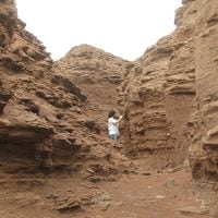 Microbioma oscuro: El hallazgo de un chileno que cambiará la forma de buscar vida en Marte