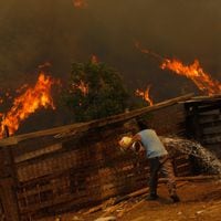 Incendios forestales en seis regiones del país: cinco siniestros se mantienen en combate