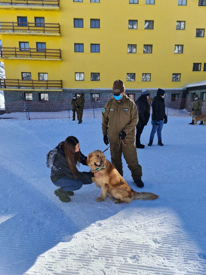 Perros detectores de droga realizan curso de perfeccionamiento de invierno en complejo Los Libertadores.
