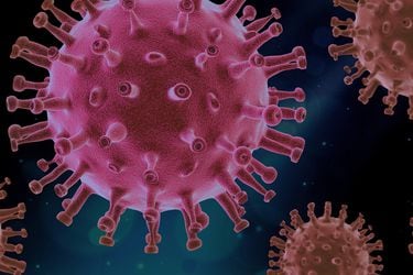 ¿Cuáles son los virus más peligrosos en la historia de la humanidad?