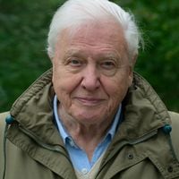 Una carta de amor para el planeta: las memorias de David Attenborough en Netflix