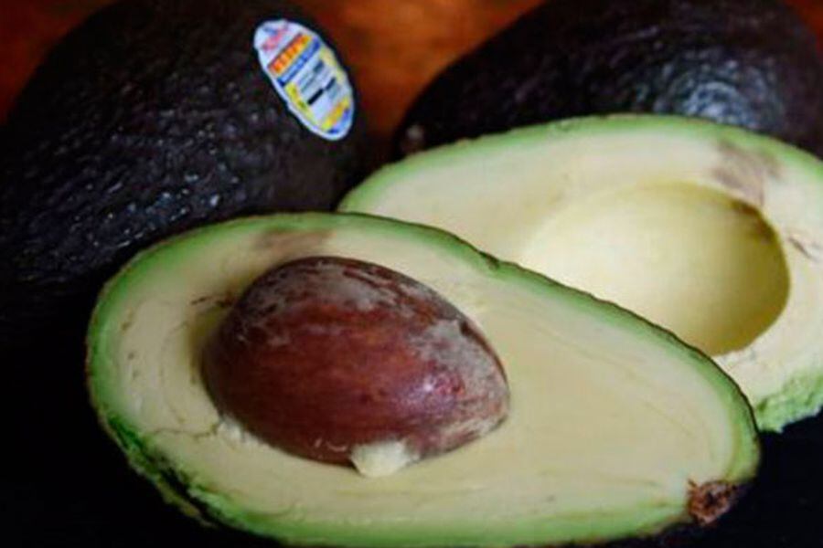 bbc-palta