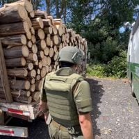Banda dedicada al robo de madera en Malleco fue condenada a tres años de presidio: especies incautadas superan los 300 millones