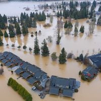 Cómo usar Google Flood Hub, la herramienta con Inteligencia Artificial que pronostica inundaciones