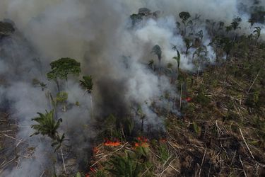 Amazonía brasileña sufre los peores incendios de los últimos diez años
