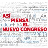 Censo al Parlamento: Las 25 definiciones del nuevo Congreso