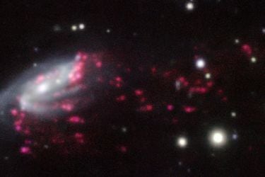 Proyecto de ciencia ciudadana apuntará su mirada en las galaxias medusa