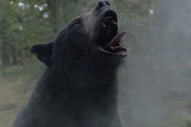 Un oso drogado es imparable en el demencial primer tráiler de Cocaine Bear