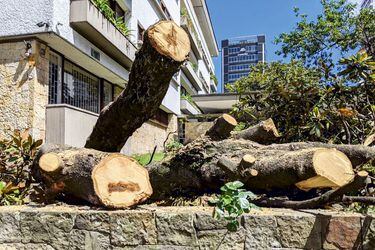 Bogotá: los crímenes de Calle 81