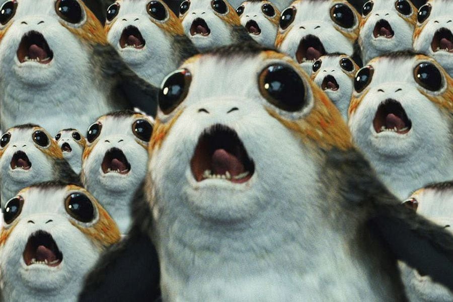 porg