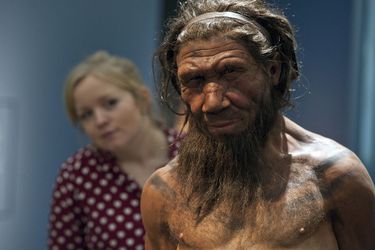 ¿Qué tan distinto era el sentido del olfato de los neandertales al nuestro?