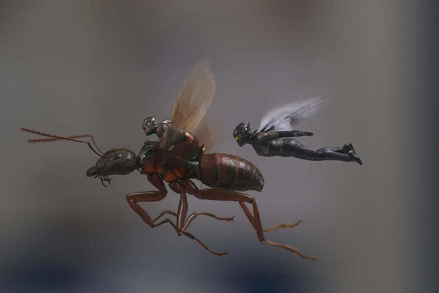 ant man wasp