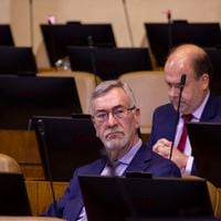 Primer desmarque parlamentario en Demócratas: diputado Saffirio anuncia su voto ‘En contra’