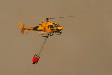 Onemi decreta roja amarilla en San Antonio por incendio forestal que ha consumido 300 hectáreas: evacuación preventiva en sector de Cuncumén