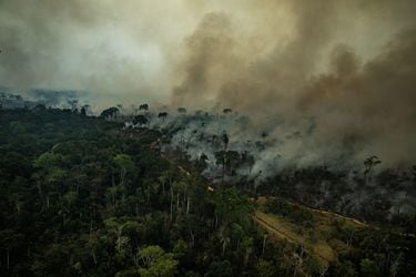 El humo cubre la Amazonía