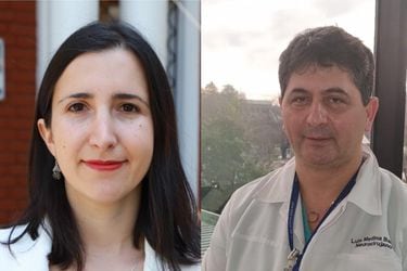 Crispi vs. Medina: el contrapunto de dos dirigentes del Colegio Médico por la propuesta constitucional en salud