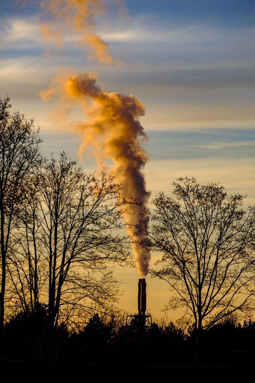 Histórico: por fin el país tendrá una Ley de Cambio Climático, ¿qué dice y qué regula esta ley?