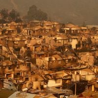 Incendios sin precedentes  en la Quinta Región: van más de 50 muertos y cerca de 4 mil viviendas arrasadas   