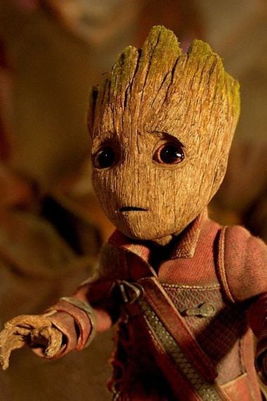 Hay Una Explicacion Basada En La Botanica Sobre El Origen De Baby Groot La Tercera Hay Una Explicacion Basada En La Botanica Sobre El Origen De Baby Groot La Tercera