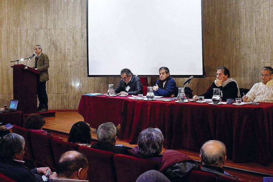Profesores