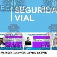 Incluida la de Milei: hacker roba base de datos con cerca de 6 millones de licencias de conducir de Argentina