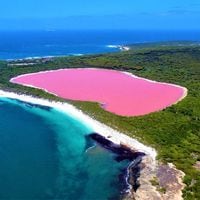Lago rosa: la alarmante desaparición de uno de los lagos más extraños del mundo