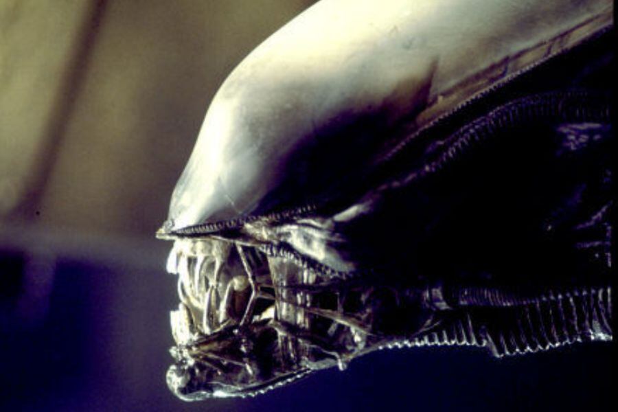 alien (1)