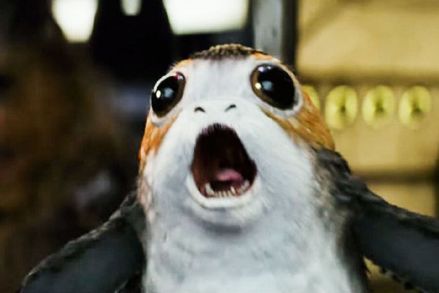 porg