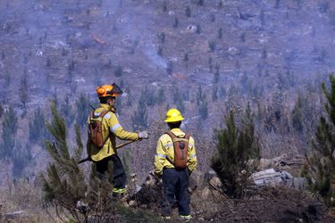 Arraigo nacional y firma quincenal para soldador que causó incendio forestal en Arauco