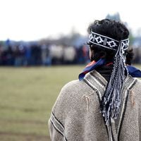 Ley Indígena: Estado ha gastado más de $ 700 mil millones en tierras destinadas a comunidades mapuche en la Macrozona Sur 