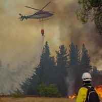 Declaran alerta amarilla en Valparaíso por incendio forestal en Cuesta Balmaceda
