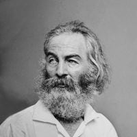 Walt Whitman: la historia detrás de la publicación de Redobles de tambor